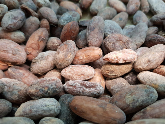 Kakaobohnen